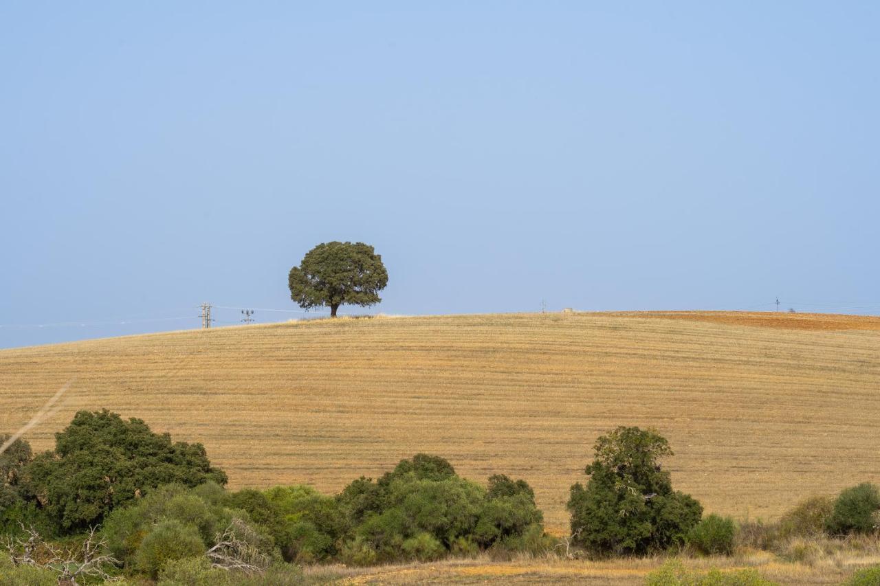 Change The World - Herdade Monte Do Peral Montes Juntos Exterior foto