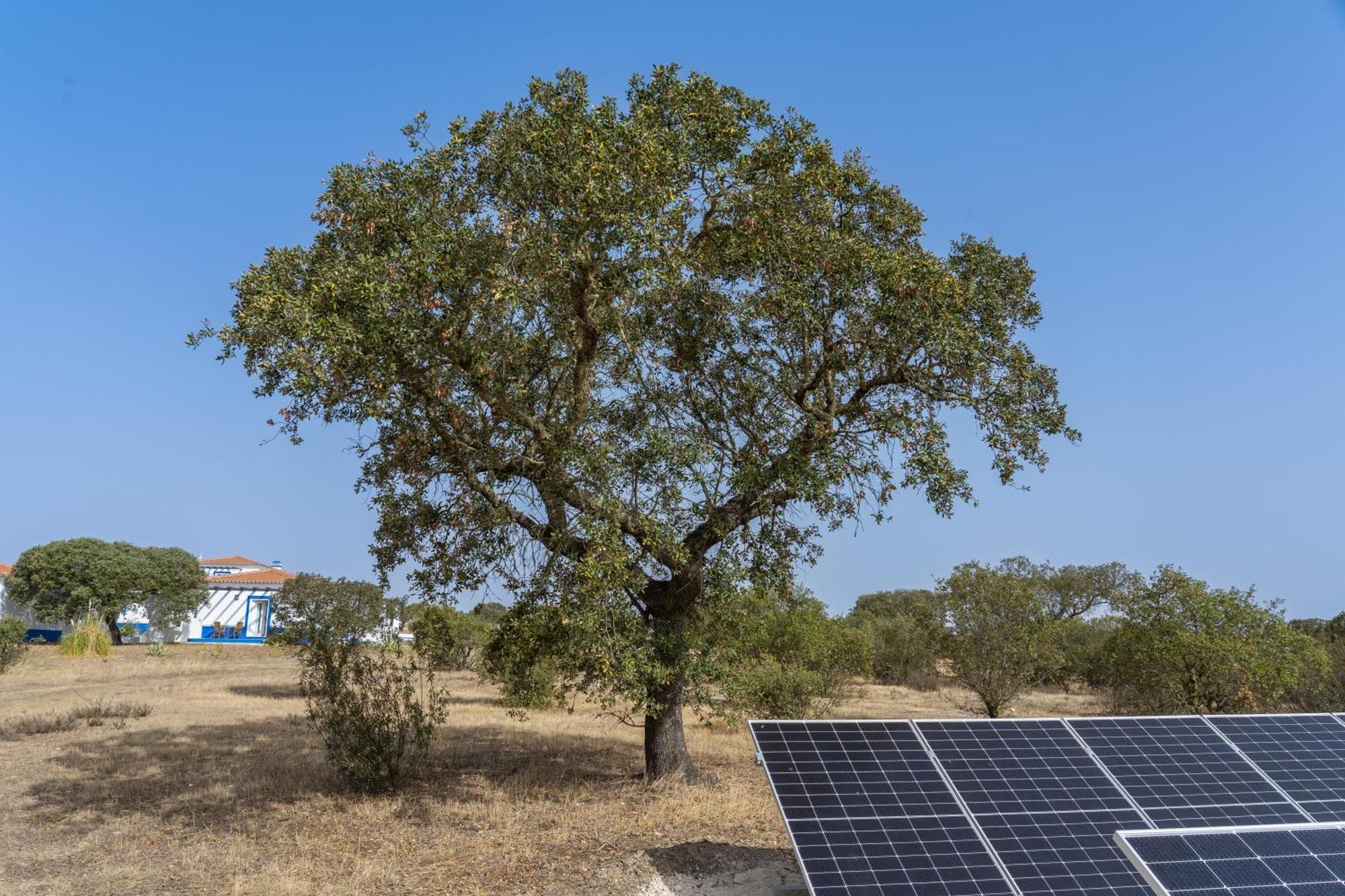 Change The World - Herdade Monte Do Peral Montes Juntos Exterior foto