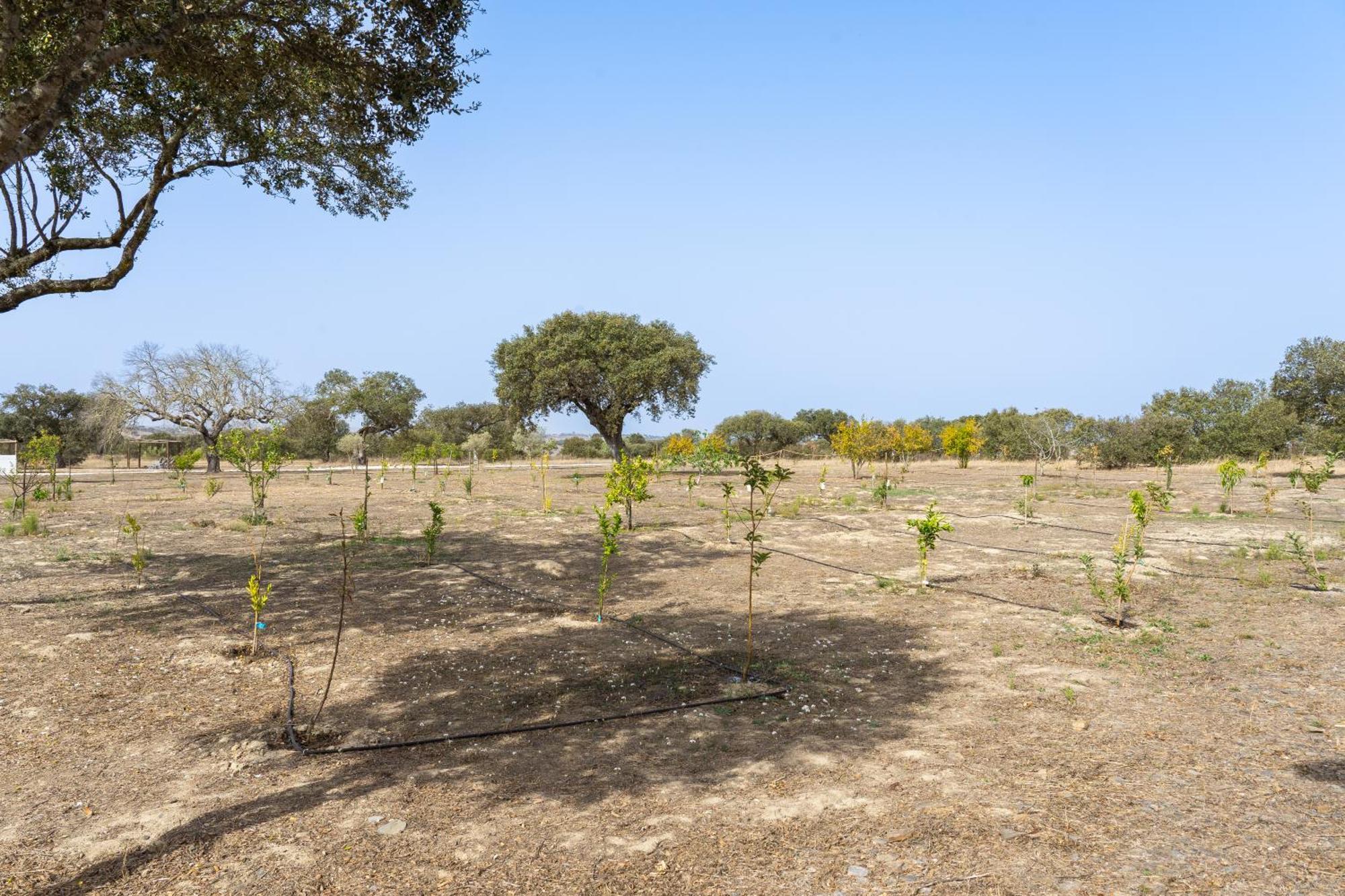 Change The World - Herdade Monte Do Peral Montes Juntos Exterior foto